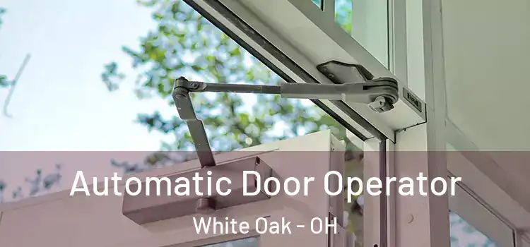  Automatic Door Operator White Oak - OH