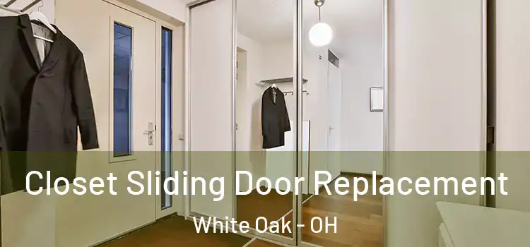  Closet Sliding Door Replacement White Oak - OH